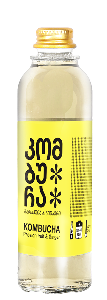 Ginger Kombucha